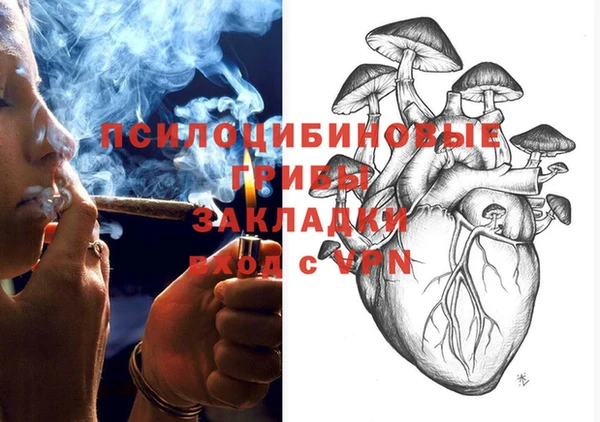 мяу мяу мука Бугульма
