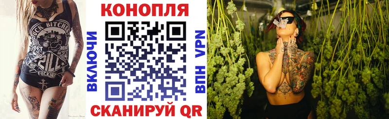 Купить закладки  Сенгилей  Конопля THC 21% 